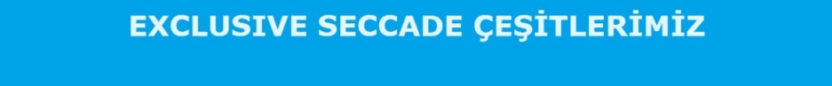 exclusive seccade